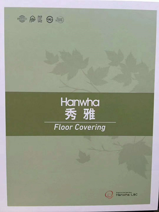 常青藤教育小鎮(zhèn)改造升級工程完工